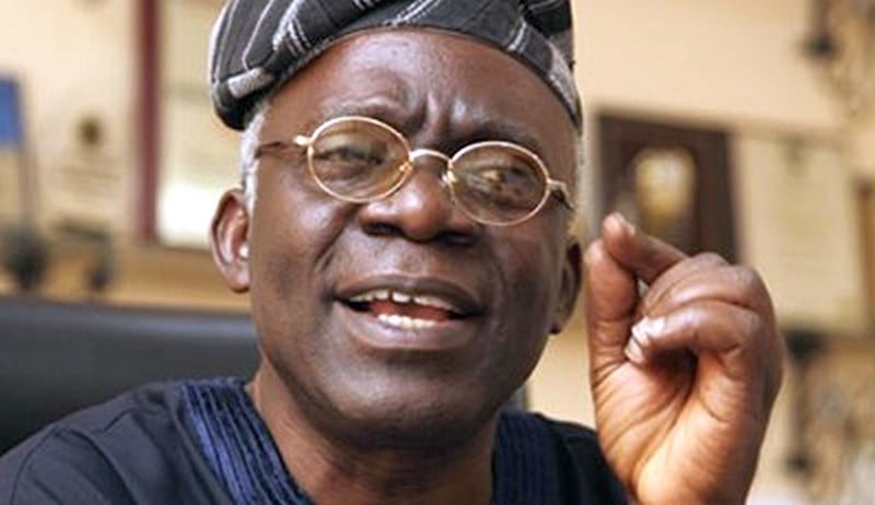 Courts shouldn't determine election winners – Falana