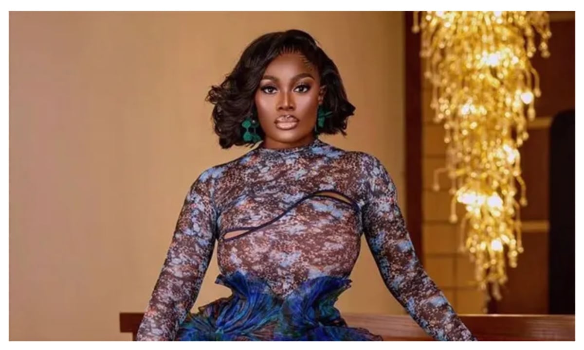 Ghanaian Actress Nana Akua Addo Hospitalised Amid Alleged Domestic Assault